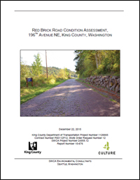 Red Brick Road Condition Assessment Report