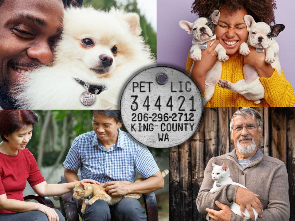 Photo collage with people and licensed pets with a King County pet license overlaid