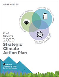 2020 SCAP appendices cover