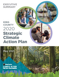 2020 SCAP Executive Summary cover