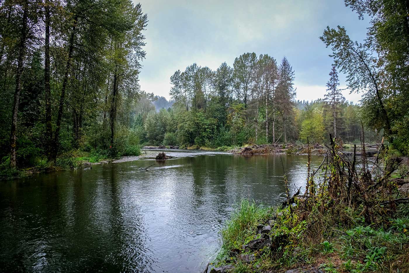 Work Begins on a Major Cedar River Restoration Project King County