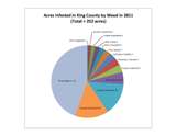 CHART_Acres_Infested_in_King_County_by_Weed_in_2011