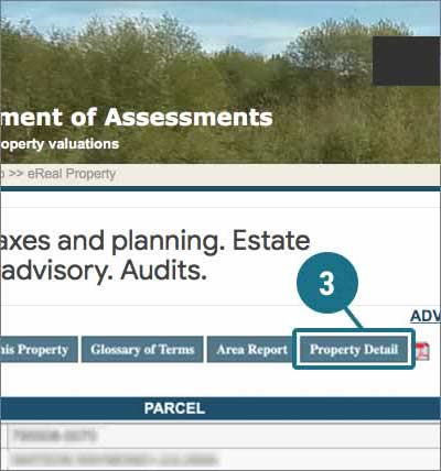 Step 3 - Click the Property Detail button near the top of the Assessor’s Report