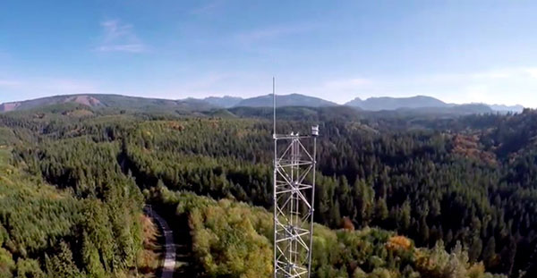 Photo of radio tower in trees