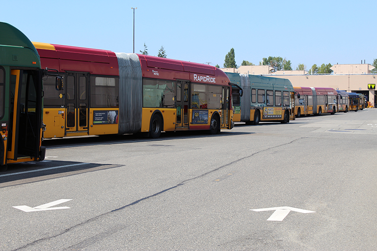 Photo of buses