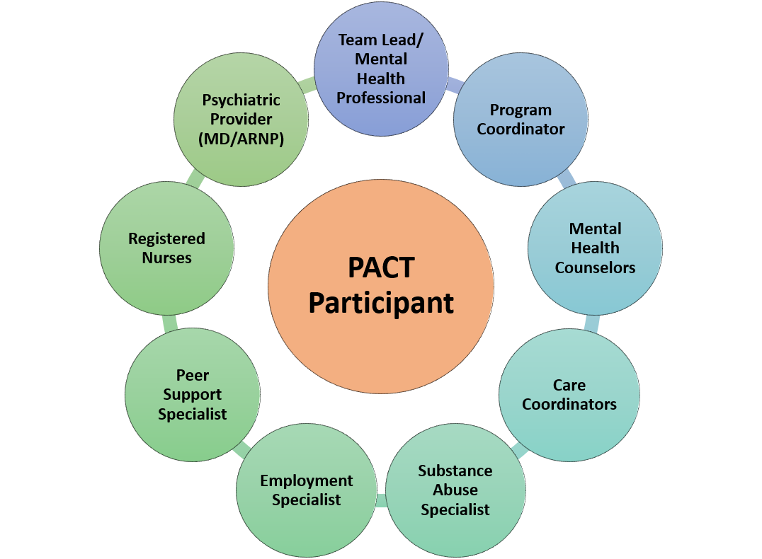 Multidisciplinary Care Team ACT Model