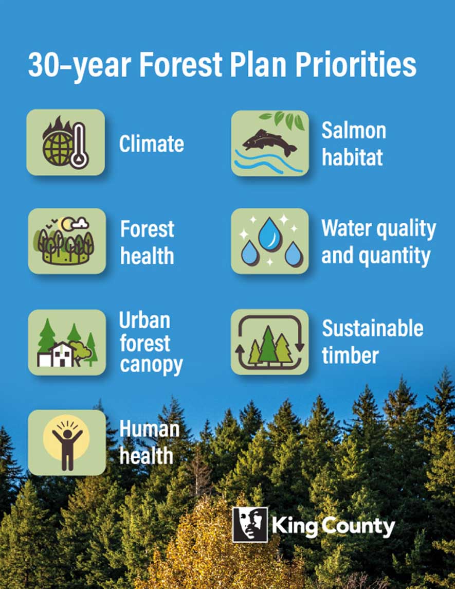 A graphic explaining the 30-year forest plan.