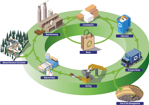 image depicting the lifecycle of paper products