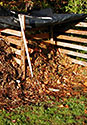 backyard compost pile