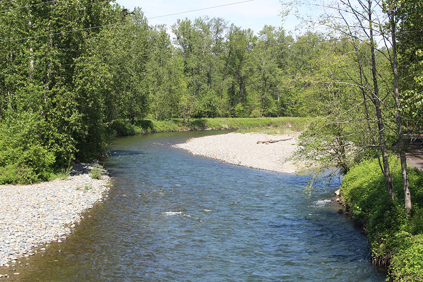 Photo showing gravel bars in the Tolt River - May 2017