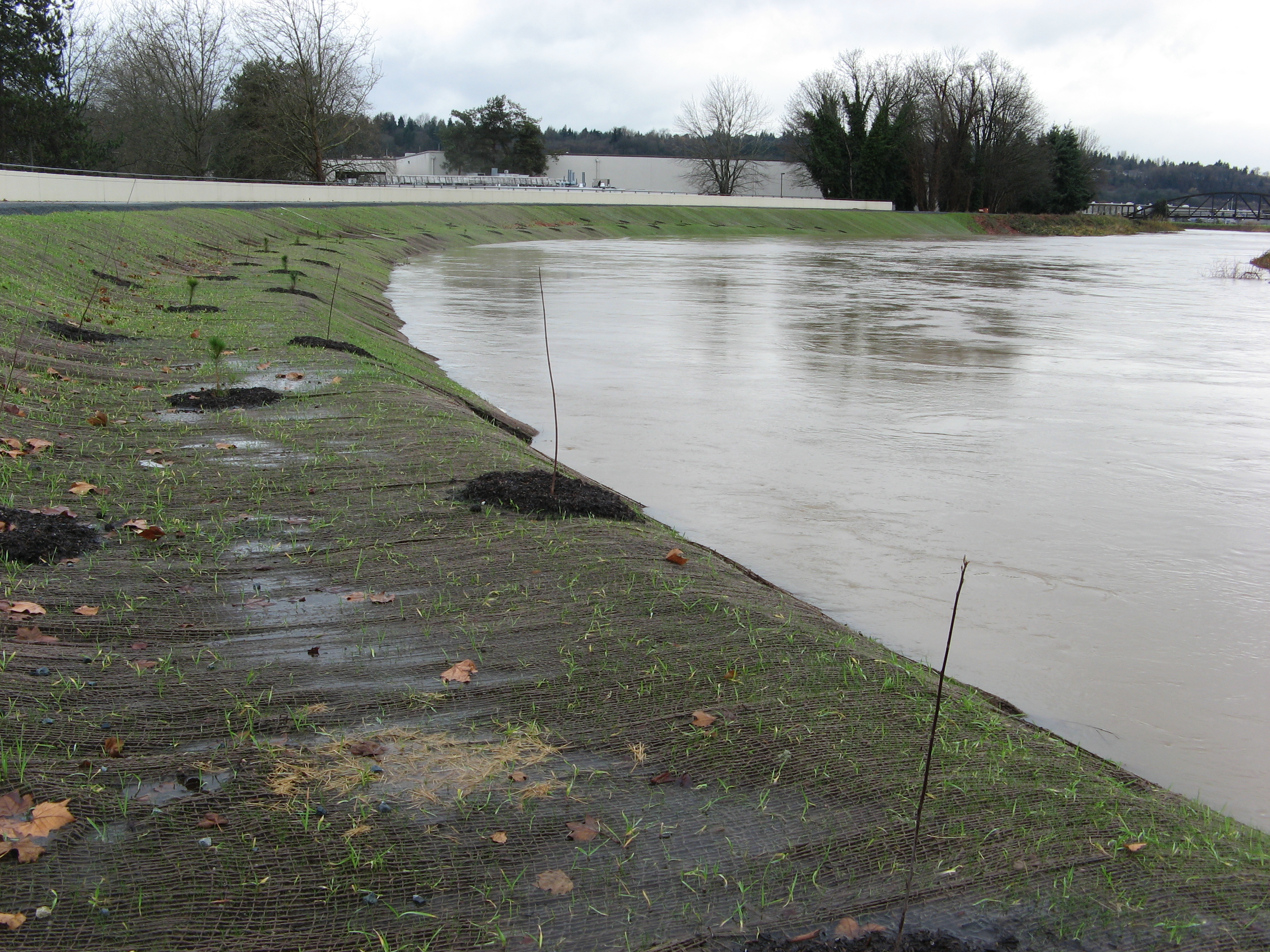 Desimone Levee Repair Project - King County