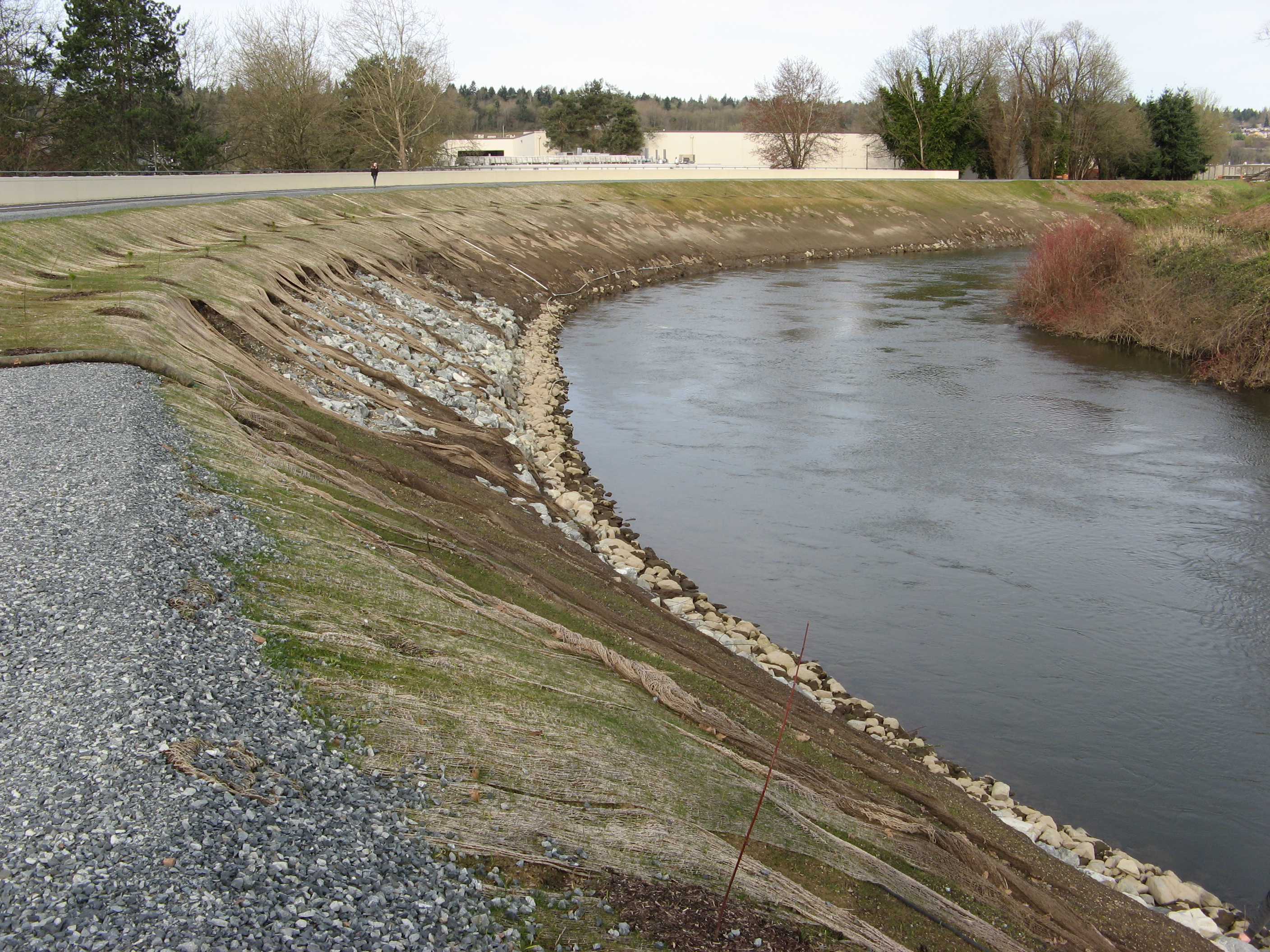 image showing desimone levee riprap intact but exposed by scour