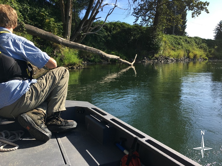 The steep bank of the Dutchman Road Revetment is pictured from a boat on the Snoqualmie River.