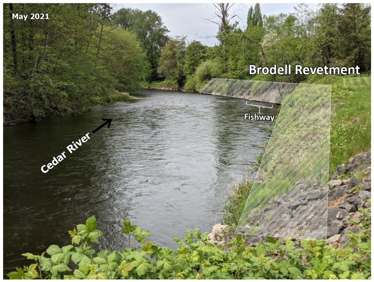 An additional section of the Brodell revetment.