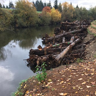 Teufel Mitigation Large Wood Project on the Green River