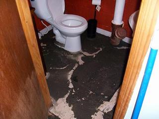 Sewage contains disease-causing contaminants that can require extensive clean up and restoration.