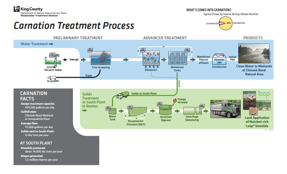 Diagram displaying the treatment process for Carnation Treatment Plant