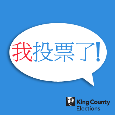 I Voted! social media profile image in Chinese