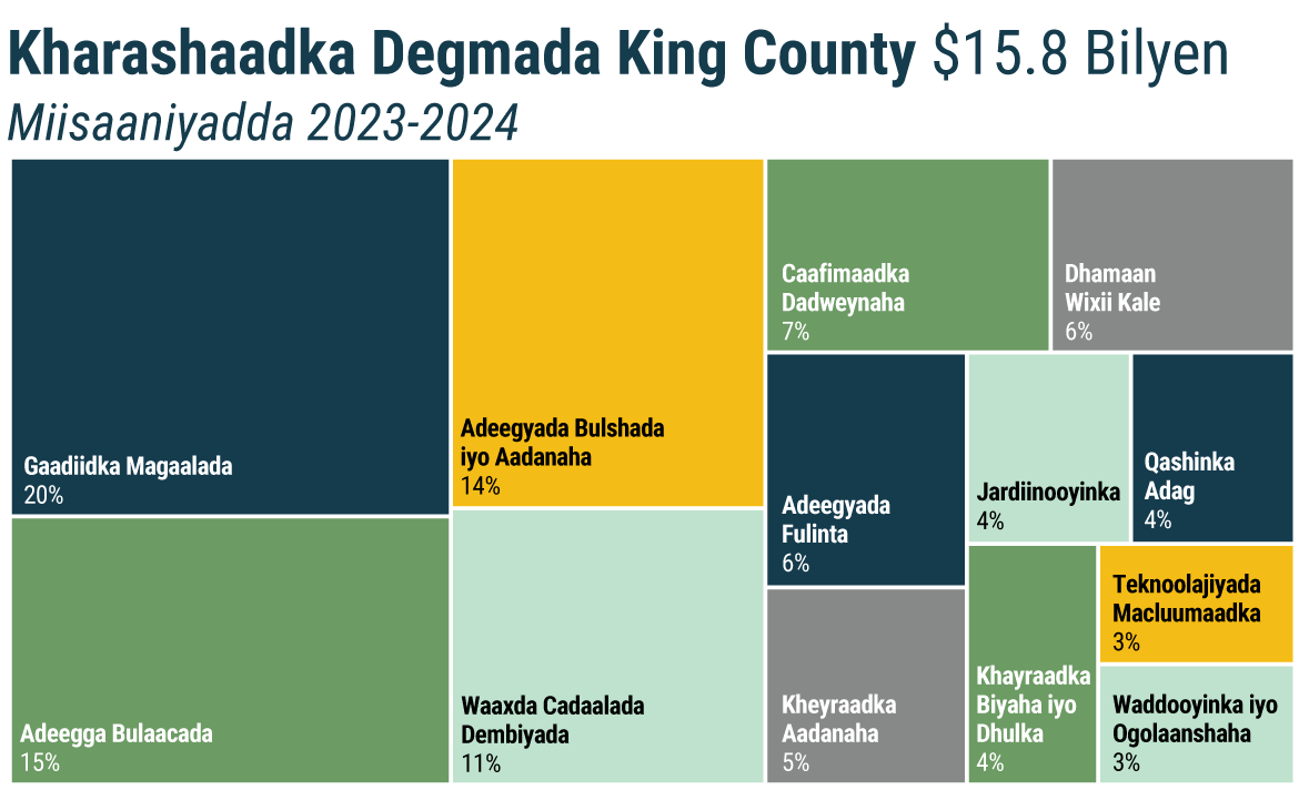 KC_expenditures_somali_1170