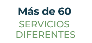services_spanish_300