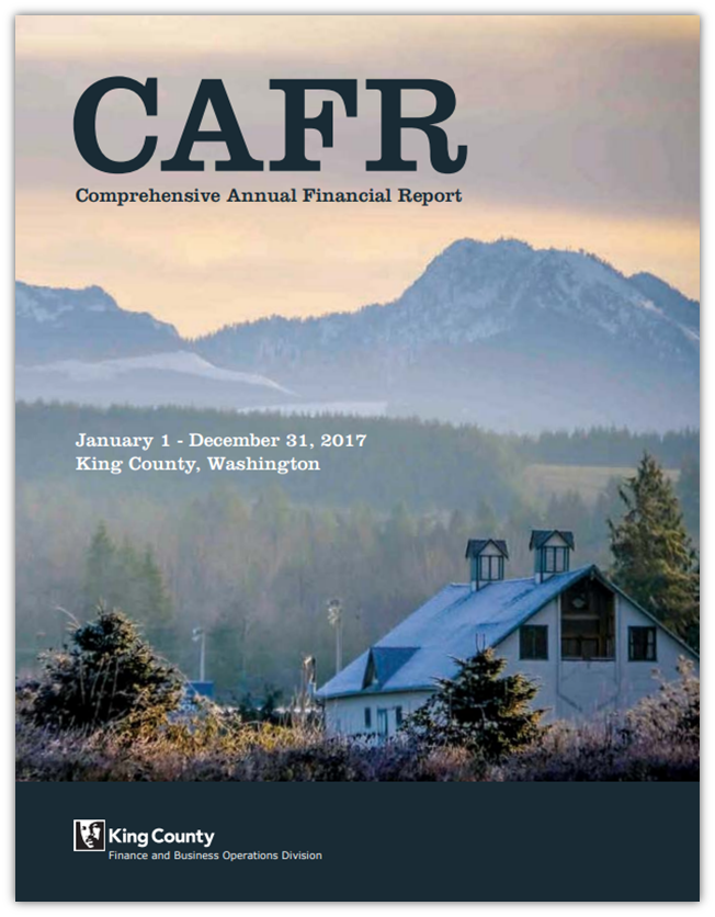 2017-CAFR