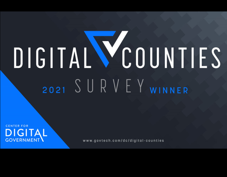 Digtal Survey Winner logo