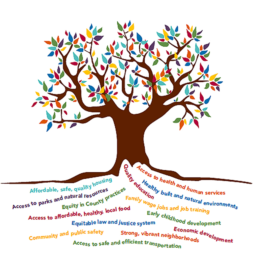 Tree with multi-colored leaves and equity words for roots