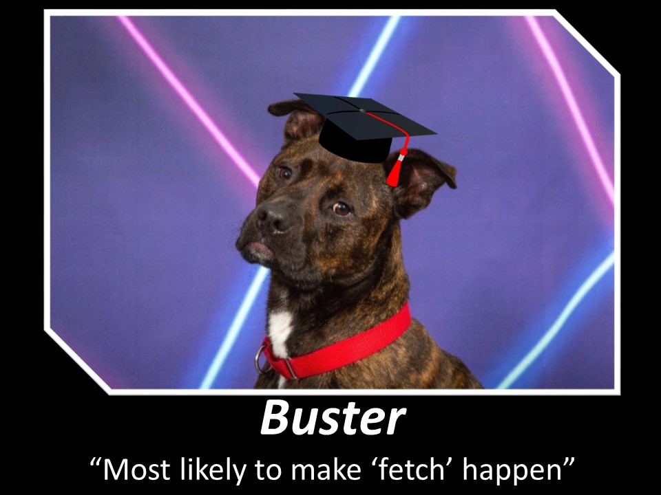 Rover2019_Buster_A564257
