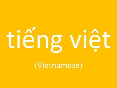 language-vietnamese