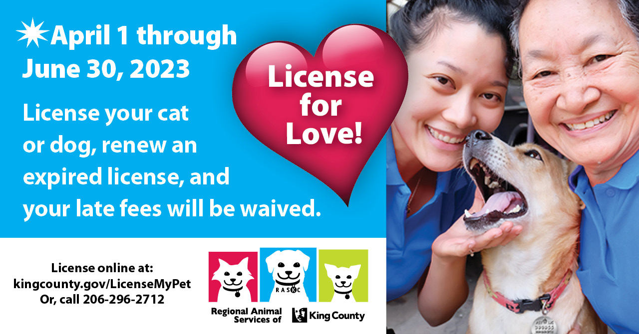 Graphic with text: License for Love April 1 through June 30, 2023. License your cat or dog, or renew an expired license, and your late fees will be waived. License online at kingcounty.gov/LicenseMyPet or call 206-296-2712