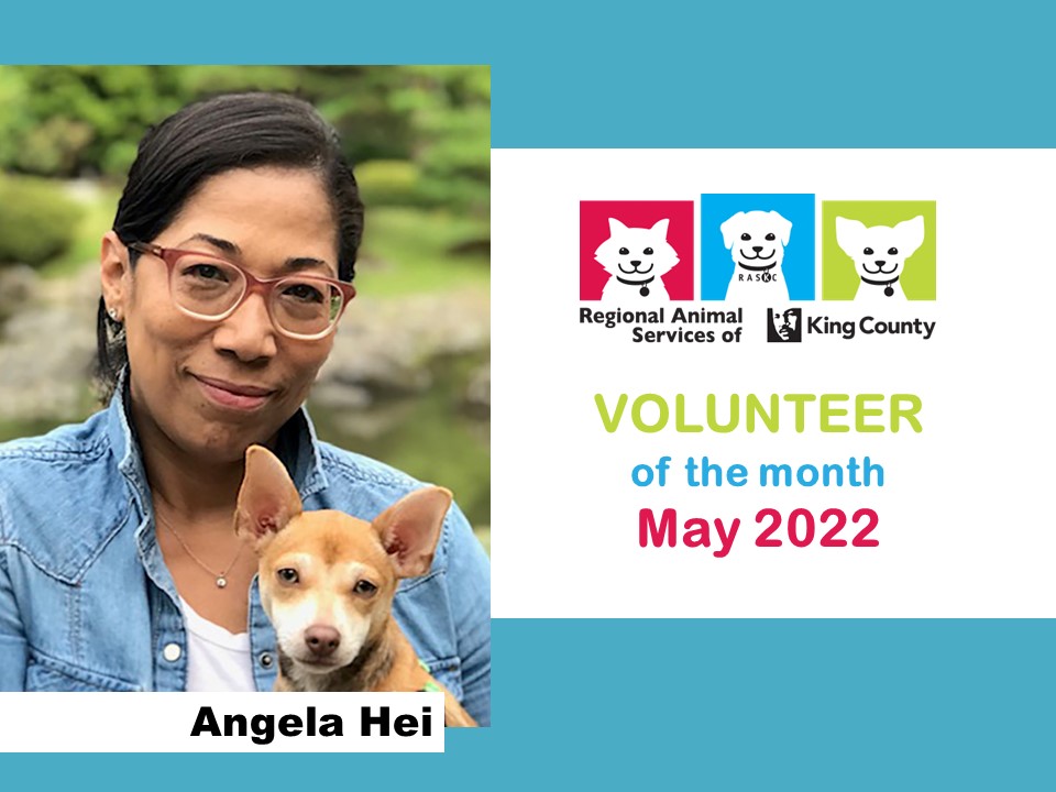 Photo of Angela Hei, Volunteer of the Month for May 2022
