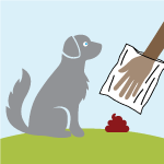 Help keep stormwater clean: pick up pet waste and dispose of it in the trash