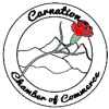 CarnationChamber2