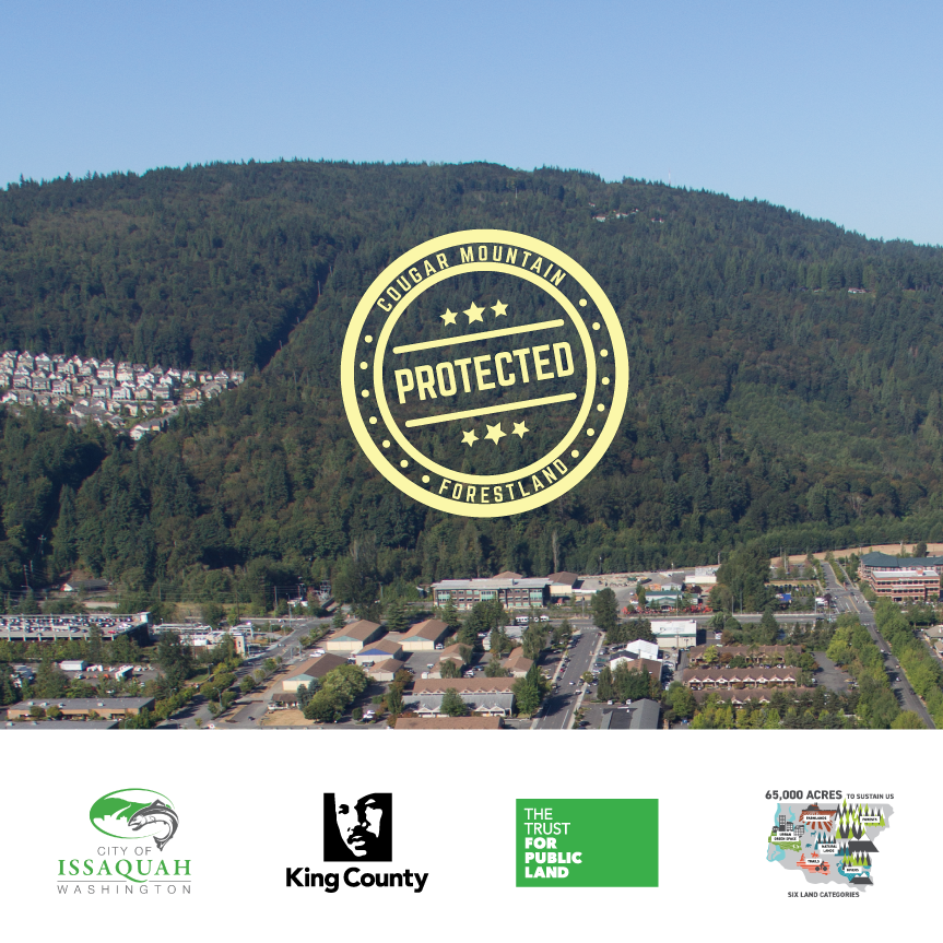 Graphic of Cougar Mountain that says 'Cougar Mountain, Protected Forestland'