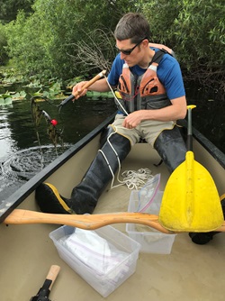 Surveying for lake weeds in a canoe