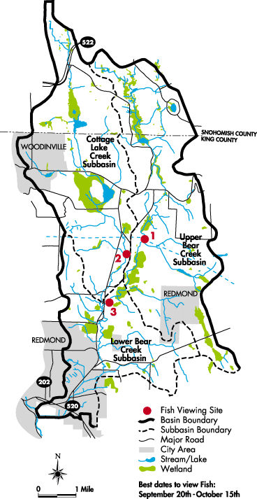 Bear Creek Basin Map
