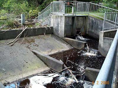 View a full-size photo, top of fish ladder
