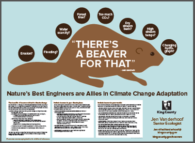 Poster - There's a Beaver for That