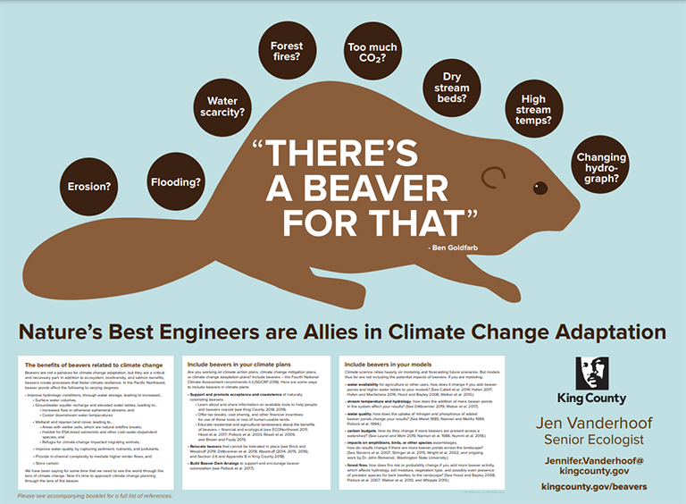 Environmental Benefits of Beavers King County
