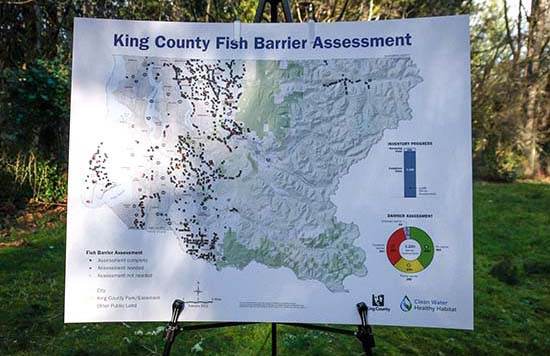 Display map of fish migration barriers