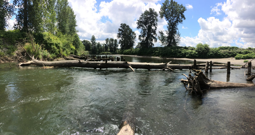 Snoqualmie Piling Removal Project
