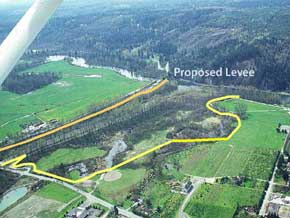 Tolt River Proposed Levee Location