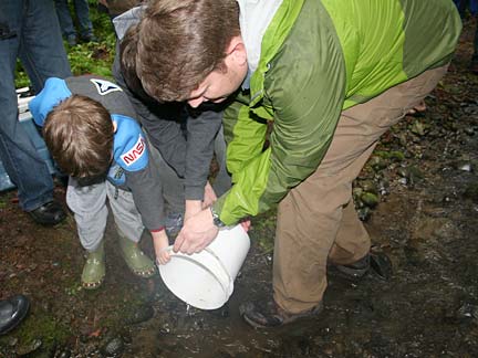 King County biologist Hans Berge and a boy set kokanee fry free in Ebright Creek
