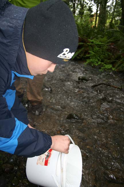 Boy releases kokanee fry into Ebright Creek, Earth Day 2010