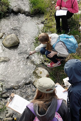 Students taking water quality samples