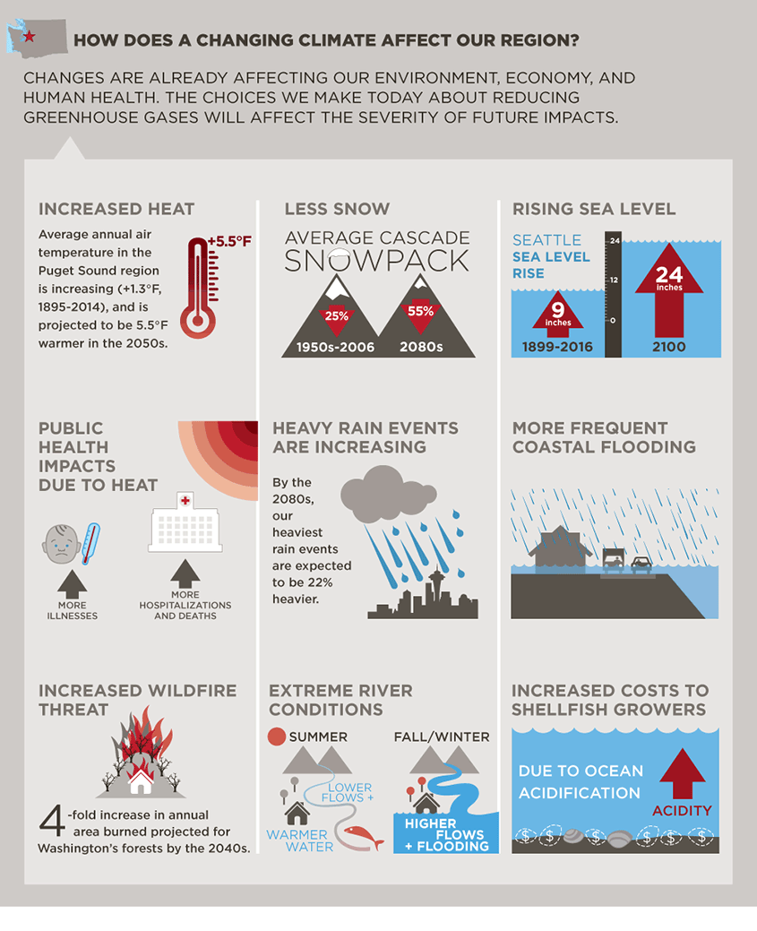 Climate Change Infographic King County   CC Inforgraphic 04.ashx