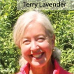 Terry Lavender