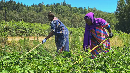 Two women farming in a field
