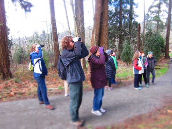 group with binoculars on path in the woods
