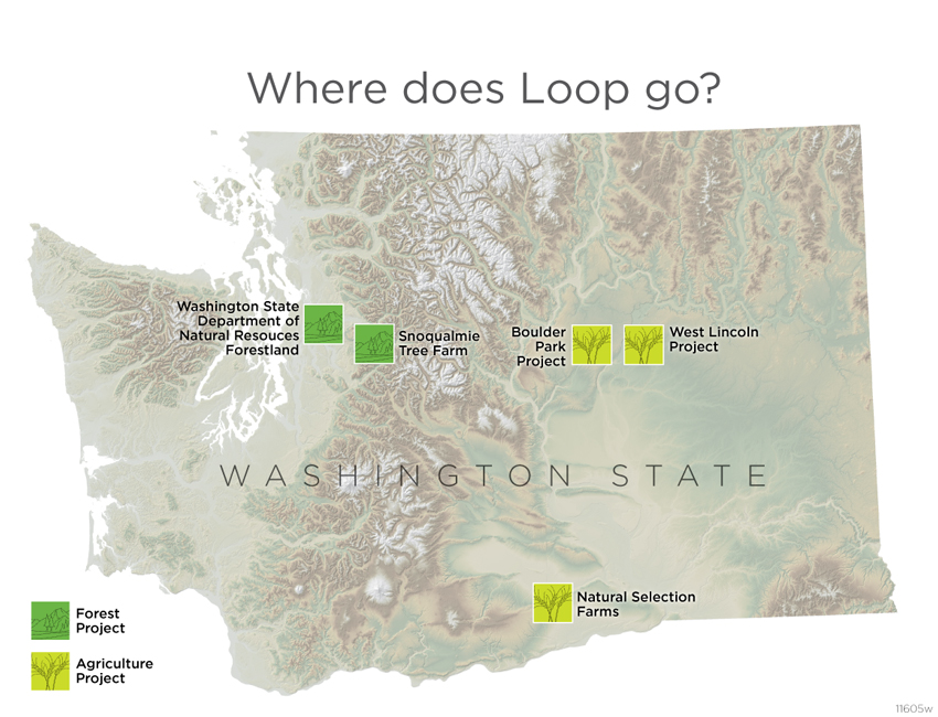 Loop map in Washington